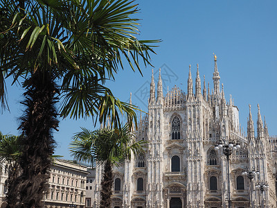 DuomodiMilano意指米兰大教堂意大利米兰有棕榈树图片