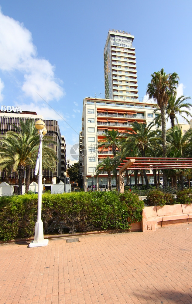 西班牙阿利坎特市典型的建筑物和棕榈树图片