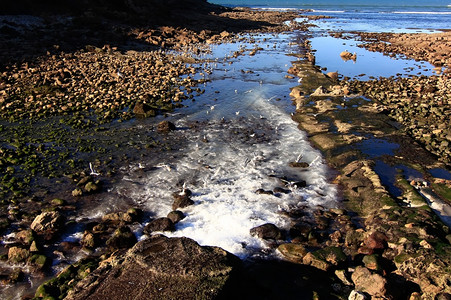 海边岩石的凝胶图片