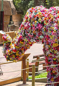 大象造的花朵图片