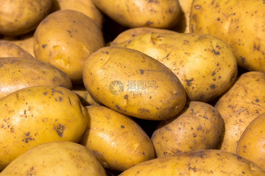 含土豆的索兰姆管状土豆背景图片