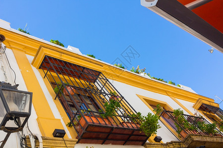 西班牙科尔多瓦市带有烧烤和装饰花的典型窗户背景图片