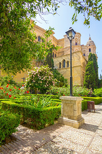 西班牙马拉加大教堂花园图片