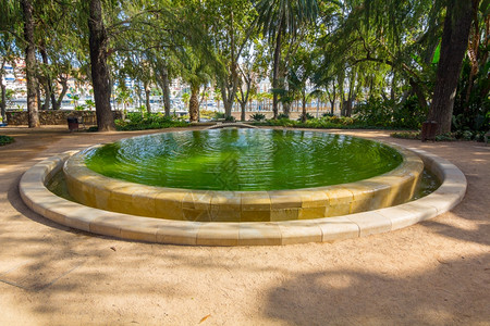 西班牙马拉加公园小池塘图片