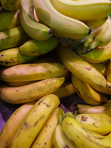 具有绿色香蕉背景食物高清图片素材