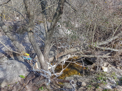 充满垃圾的污染河流图片