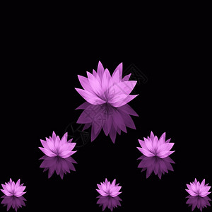 美丽的抽象莲花背景图片