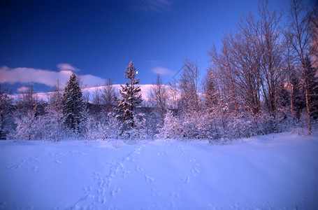 冬季蓝天和山中白雪图片