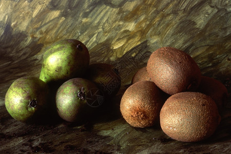 梨和kiwi在涂漆背景上被烧焦图片