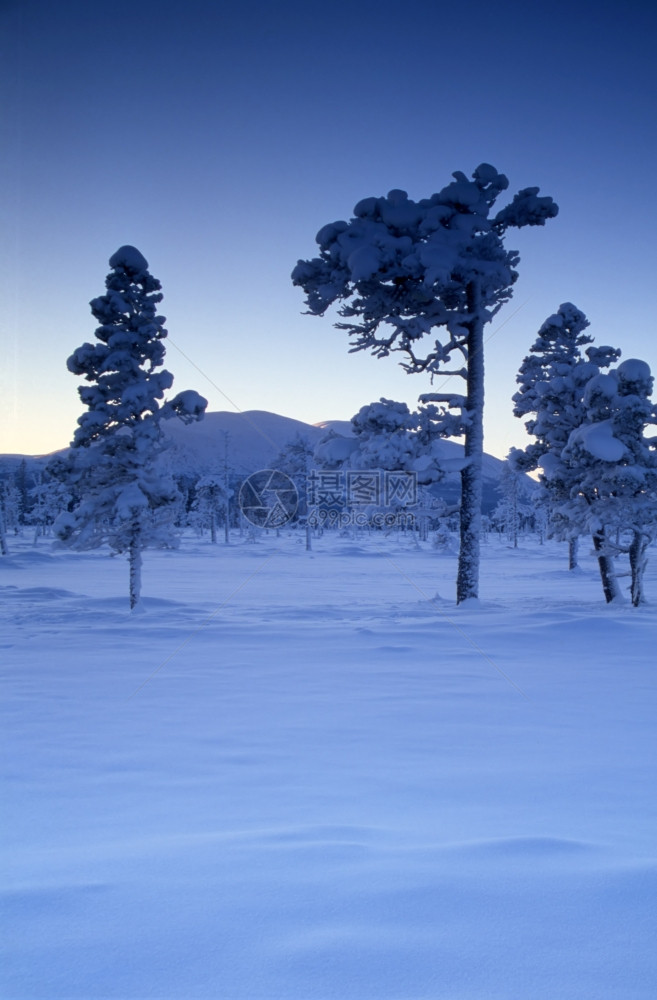 山上美丽的雪和霜冻树木图片