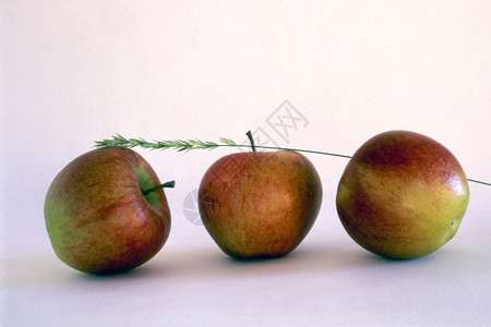 在油漆背景上分离的3个苹果图片