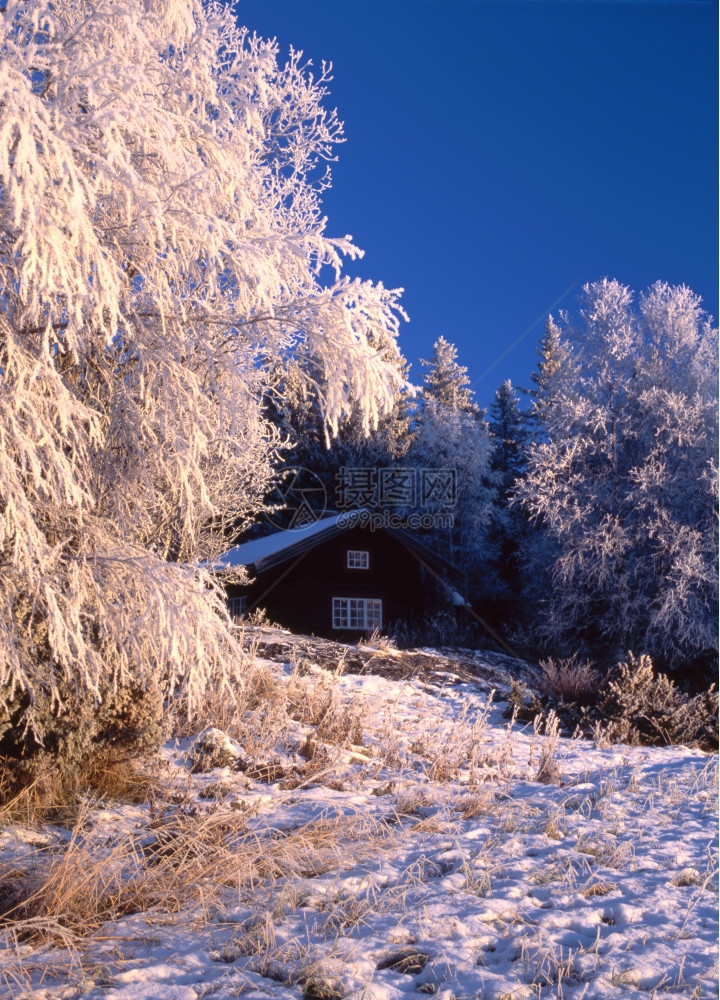 美丽的冬季风景与温特利小屋图片