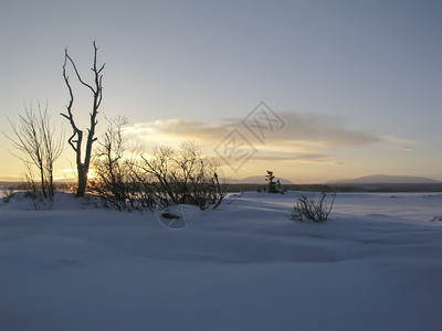 北苏维登美丽的冬季风景图片