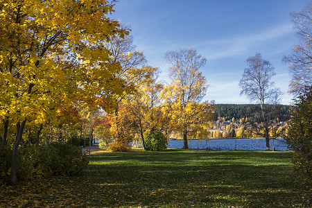 湖边多彩的秋树美丽倾斜景色图片