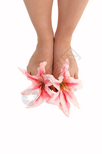 两只赤脚和粉红百合花脚趾是白底的下有复制空间图片