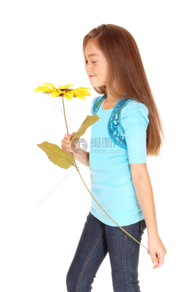 一个可爱的小女孩拿着向日葵站在孤立的白地上图片