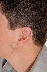 一张关于个年轻男子耳朵的特写照片上面有棕色头发和灰恤衫图片