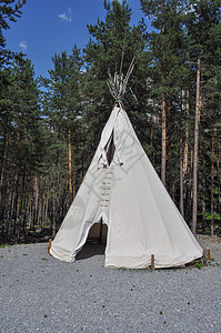 在松树林中野外露营的织布帐篷住所图片