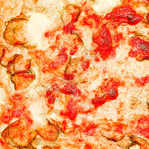 西葫芦披萨西葫芦素食披萨详图图片