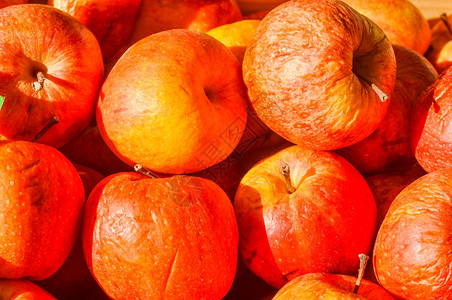 红苹果水健康的素食图片