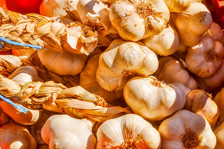 Garlic蔬菜健康的素食美图片