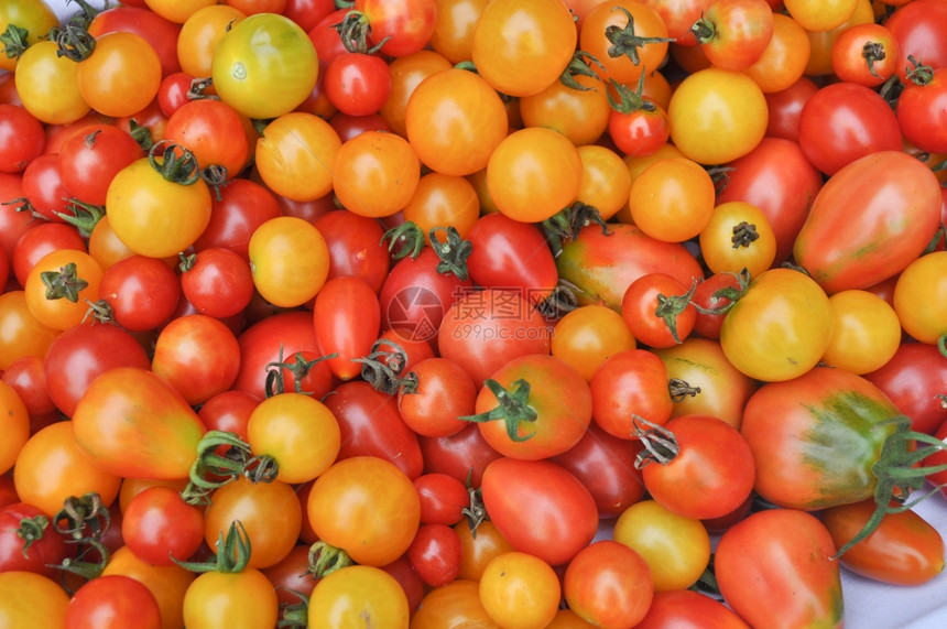 樱桃番茄蔬菜西红柿苏拉南碱甘油蔬菜素食品图片