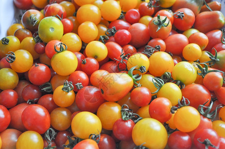 樱桃番茄蔬菜西红柿苏拉南碱甘油蔬菜素食品图片
