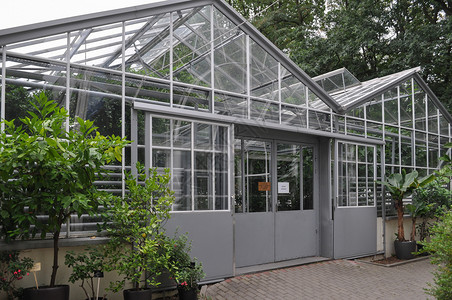 瓦尔沙瓦植物学花园高清图片