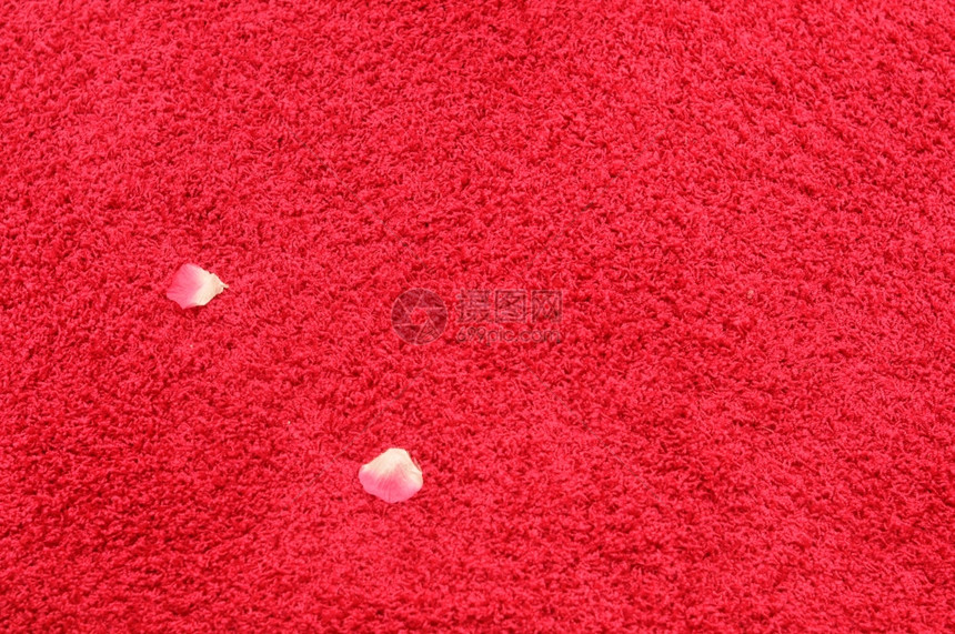 红织物纹理背景红织物纹理地毯上的花瓣作为背景很有用图片