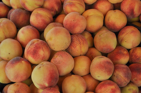 橙桃PrunusPersica水果素食品作为背景背景图片