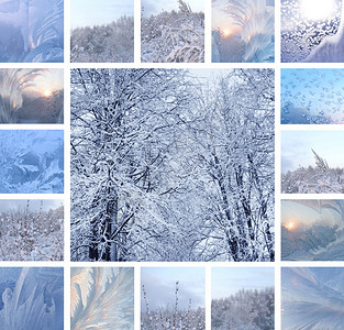 冬季玻璃和雪下树木的冰层图片