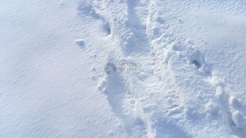 雪底的足迹图片