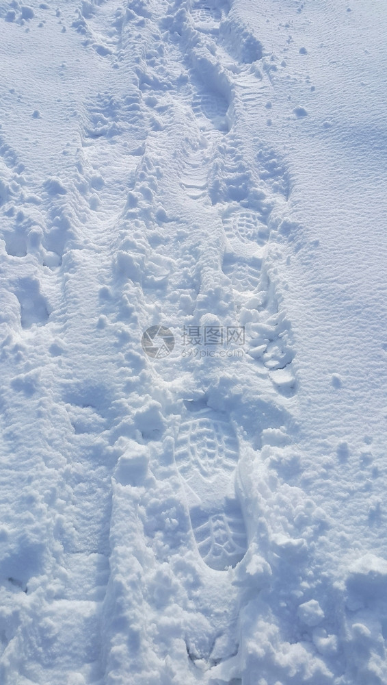 雪底的足迹图片