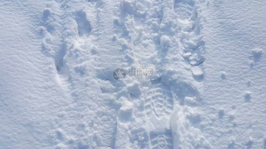 雪底的足迹图片