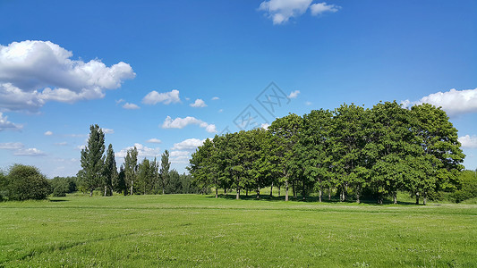 美丽的夏月风景有树木明蓝天空有白云高清图片