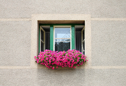 开着窗户装饰明亮的粉红花朵贴近图片