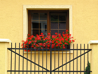 装饰着明亮红宝石花的黄建筑窗背景