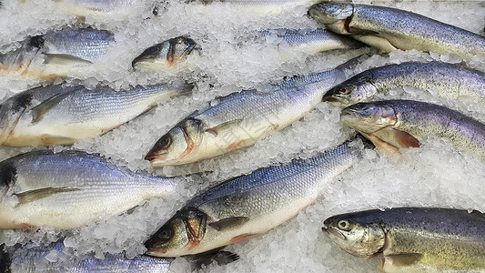 关闭冰上新鲜冷冻鱼供市场销售背景图片