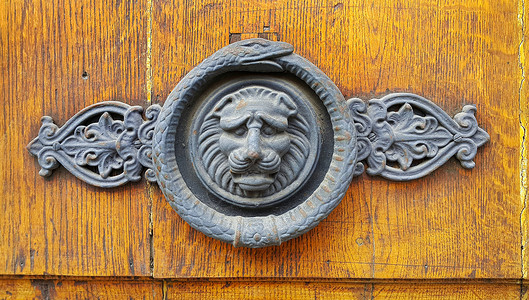法国特洛伊旧木门纹身装饰狮子头和蛇环高清图片