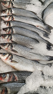 关闭在冰上的新鲜西巴鱼供市场销售高清图片