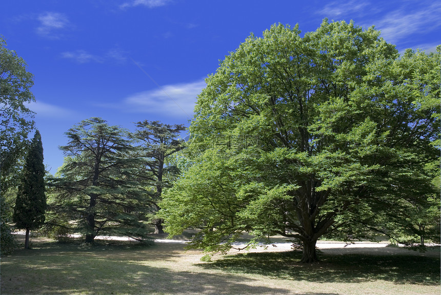 格莱特的绿树宫殿沃龙佐戈公园克里米亚半岛图片