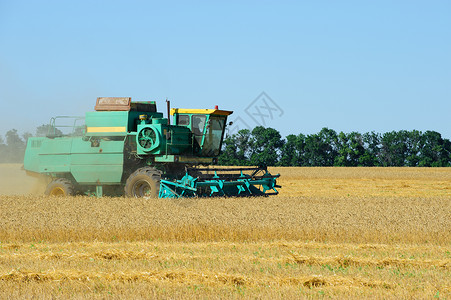 收割联合公司已立案收割小麦作物图片
