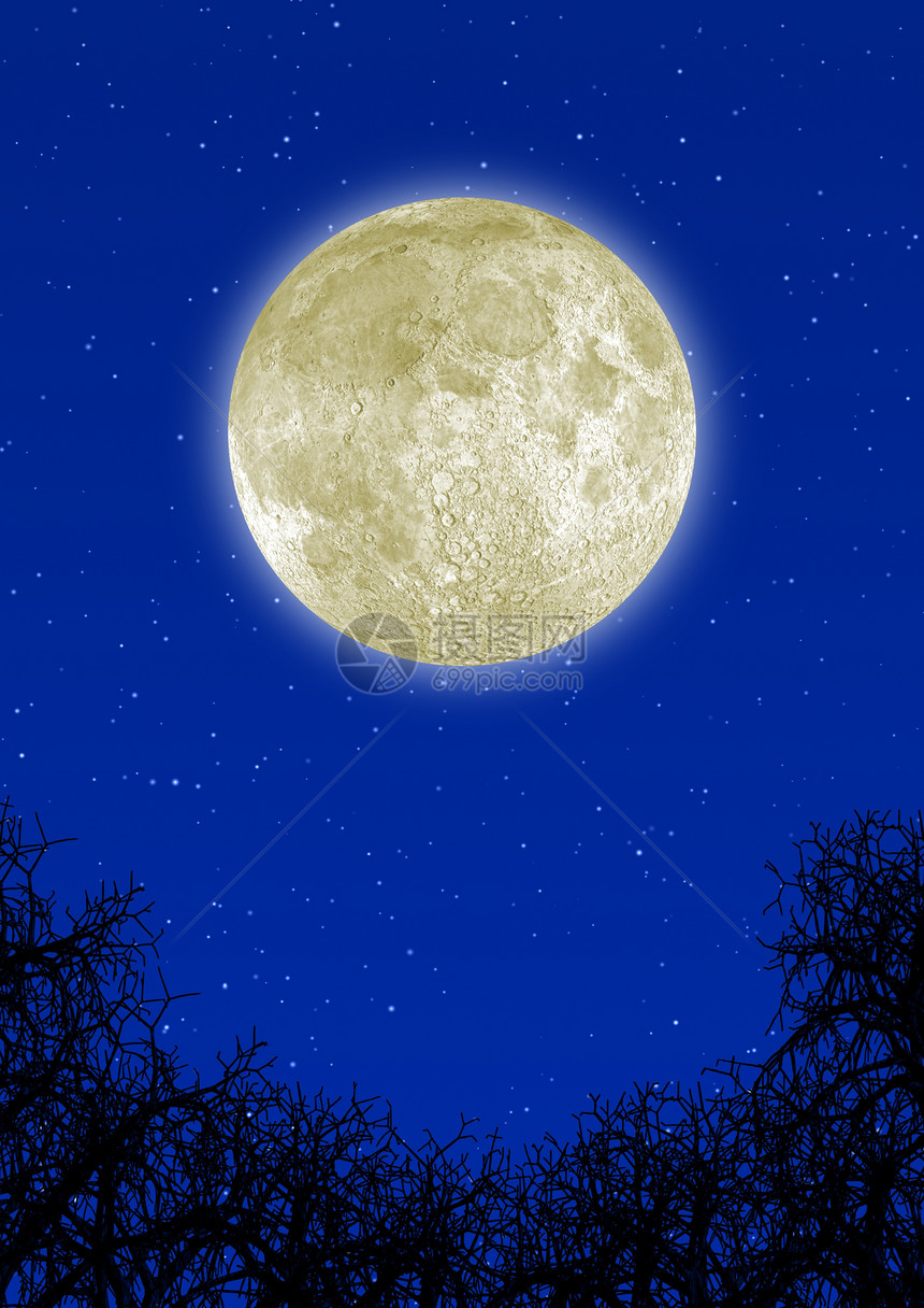 高精细的月亮与底部一起除去与干树的反形枝成元素图片