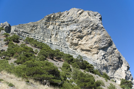 山地表面有植被的演艺岩石图片