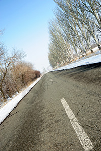 一条冬季线路边和树上下雪图片