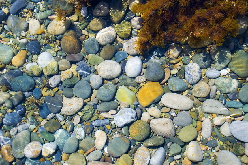 海卵石在水上拍照加海草图片