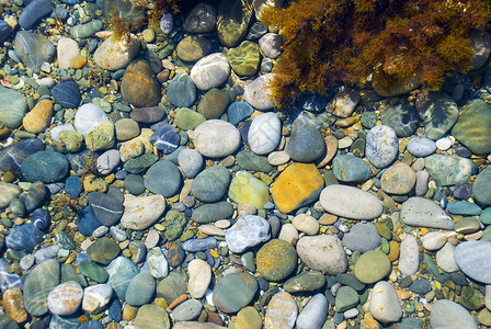 海卵石在水上拍照加海草背景图片