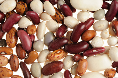 豆类食品白背景上分离图片