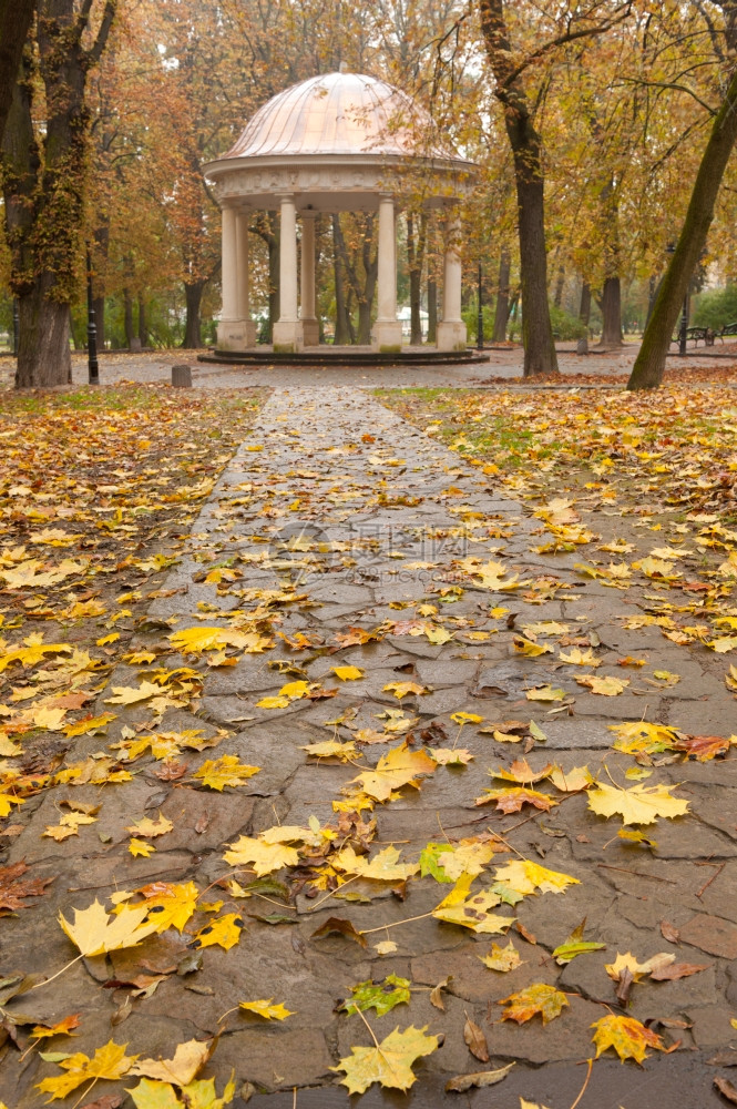 秋天公园有一条步行路去暑期别墅Lvov公园图片