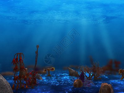 水下世界用有效底图示海洋深处图片